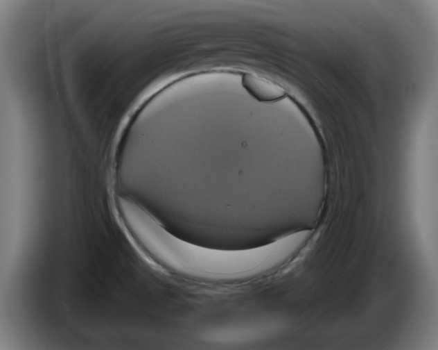 X0000086221525200704261826