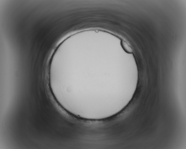 X0000086221526200704261826