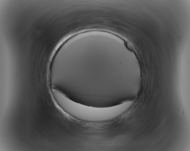 X0000086221527200704261826