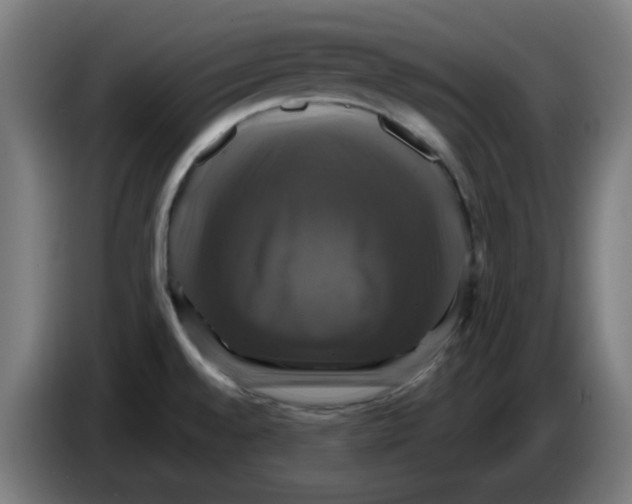 X0000086221528200704261826