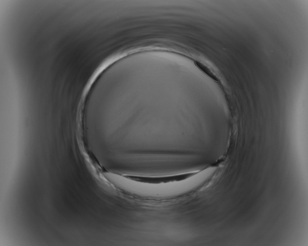 X0000086221530200704261826