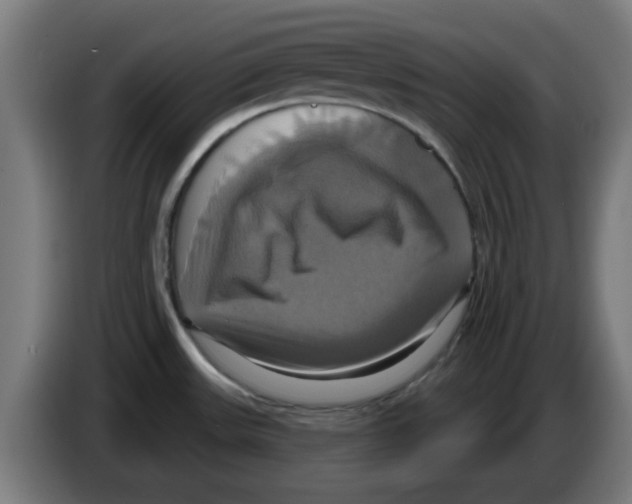 X0000086221531200704261826