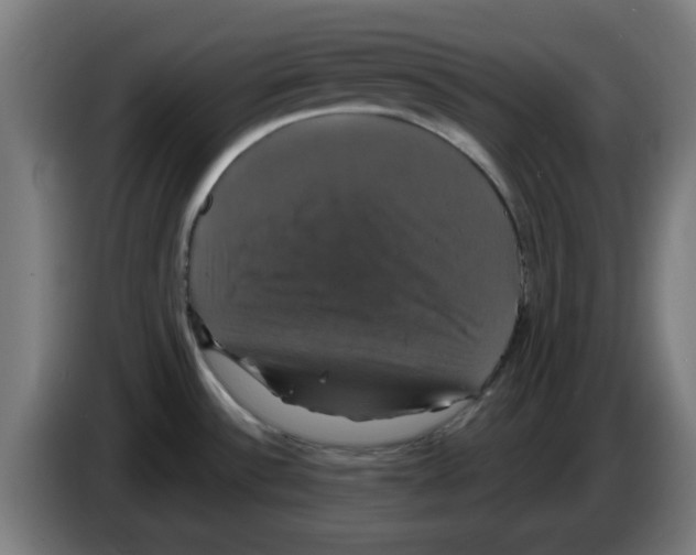 X0000086221532200704261826