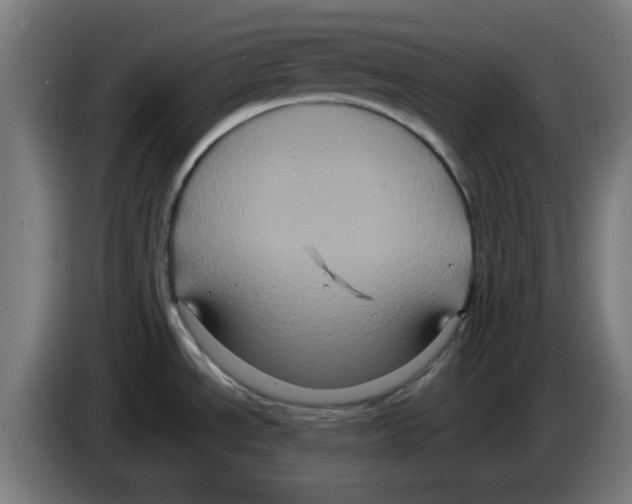 X0000086221534200704261826