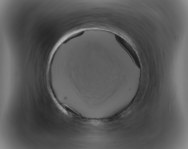 X0000086221536200704261826