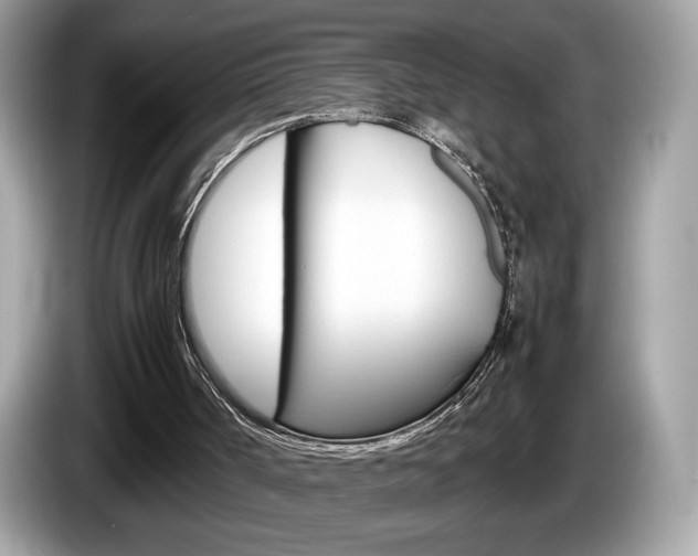 X0000086230002200703290954