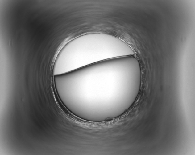X0000086230003200703290954