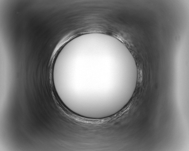X0000086230004200703290954