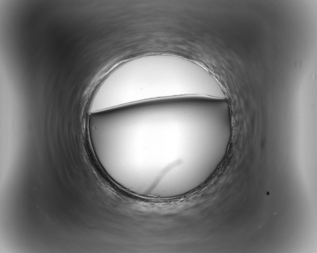 X0000086230005200703290953