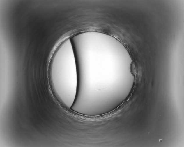 X0000086230006200703290953