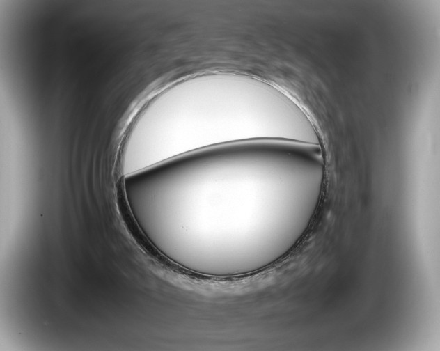 X0000086230007200703290953