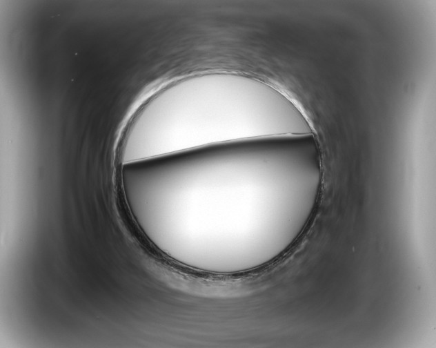 X0000086230008200703290953
