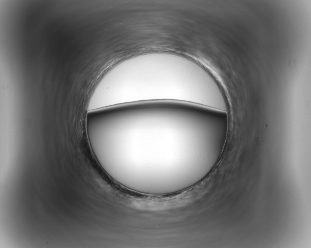 X0000086230009200703290953