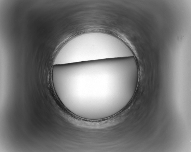 X0000086230010200703290953