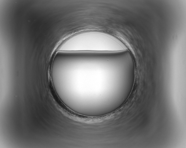 X0000086230011200703290953