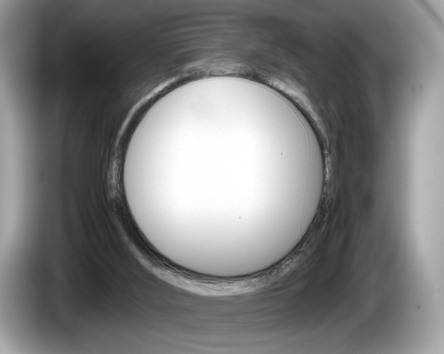 X0000086230012200703290953