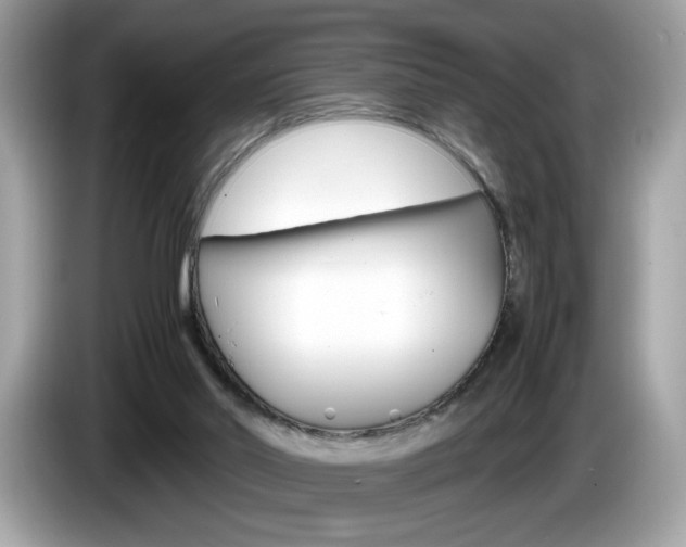 X0000086230014200703290953