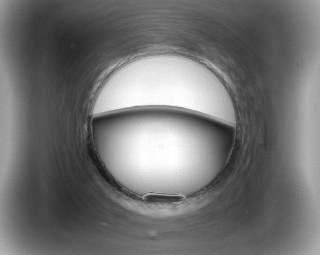X0000086230015200703290953