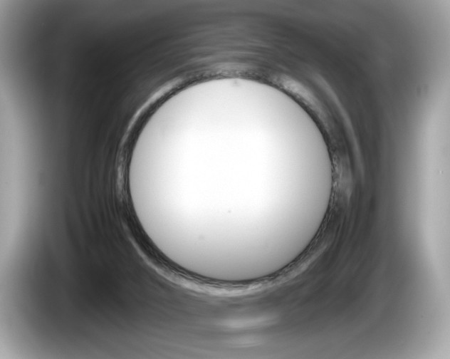 X0000086230016200703290953