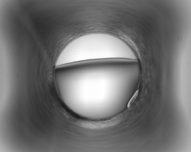 X0000086230017200703290953