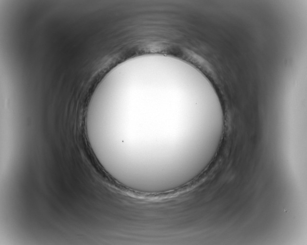 X0000086230018200703290953