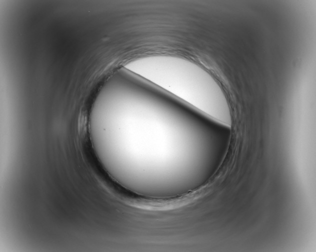 X0000086230021200703290953