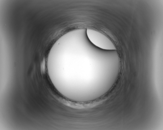 X0000086230022200703290953