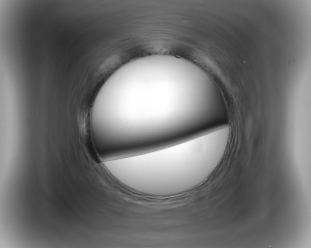 X0000086230023200703290953