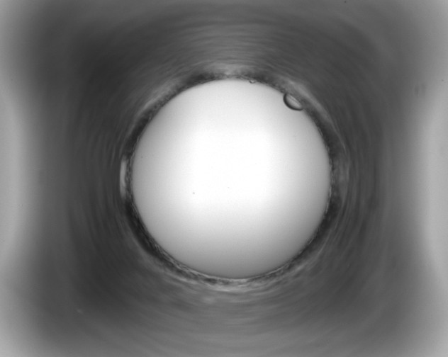 X0000086230024200703290953