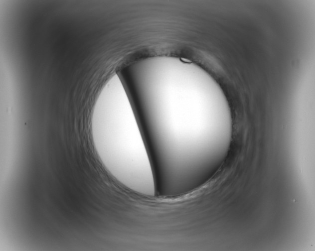 X0000086230025200703290953