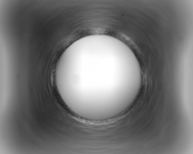 X0000086230026200703290953