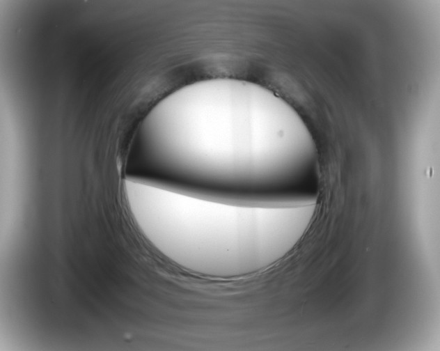 X0000086230027200703290953