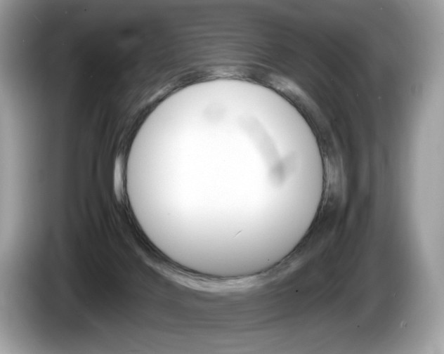 X0000086230028200703290953