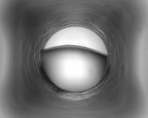 X0000086230029200703290953