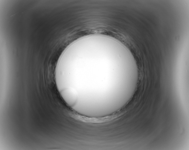 X0000086230030200703290953
