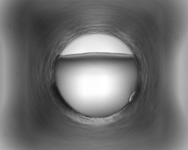 X0000086230031200703290953