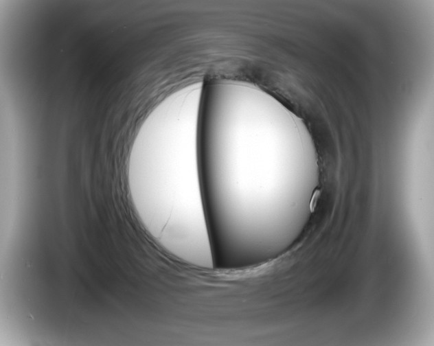 X0000086230033200703290953