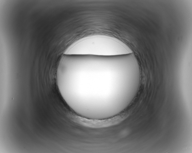 X0000086230034200703290953