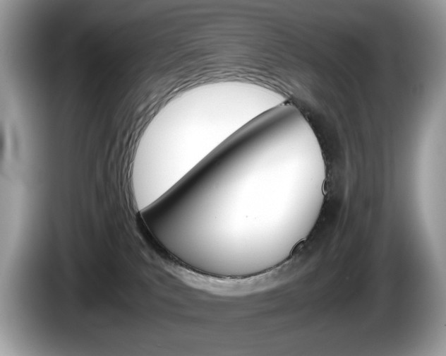 X0000086230039200703290953