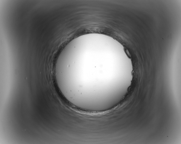 X0000086230040200703290953
