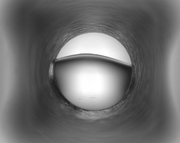 X0000086230041200703290953