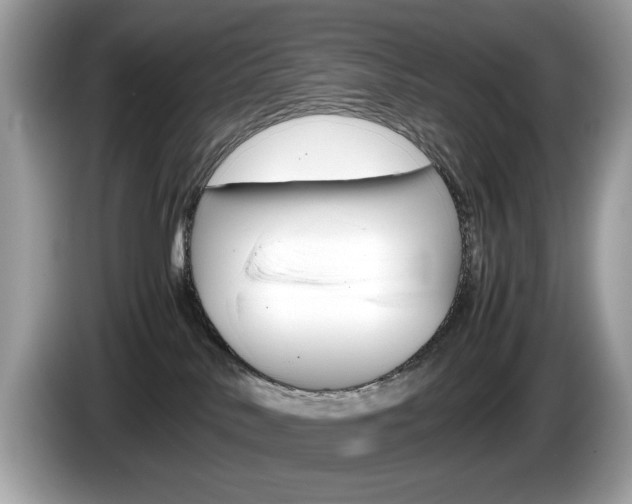 X0000086230042200703290953