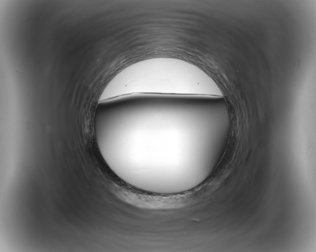 X0000086230044200703290953