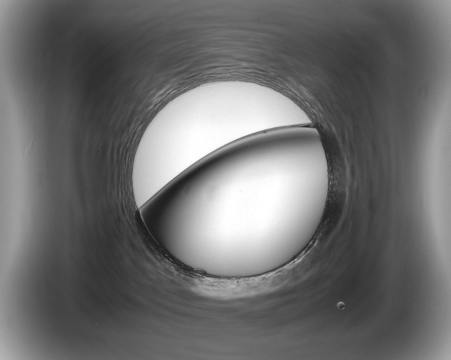 X0000086230045200703290953