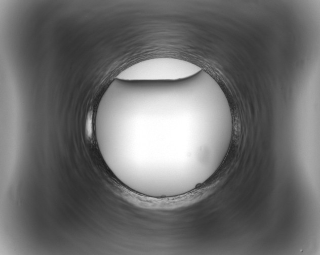 X0000086230046200703290953