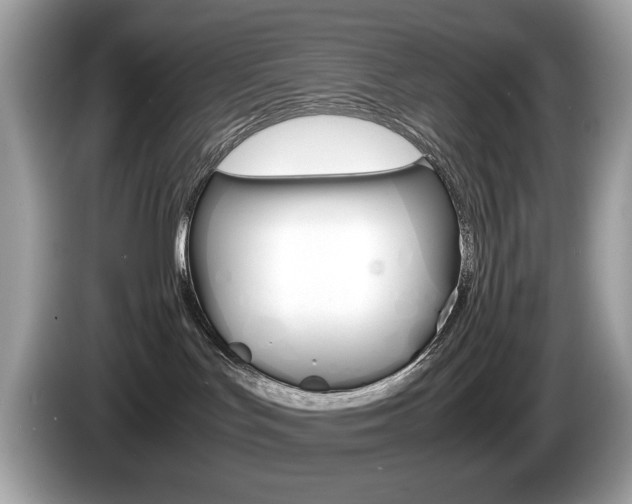 X0000086230047200703290953