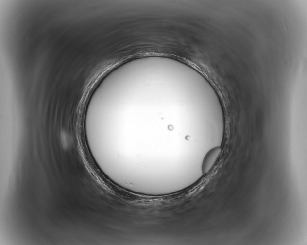 X0000086230049200703290952