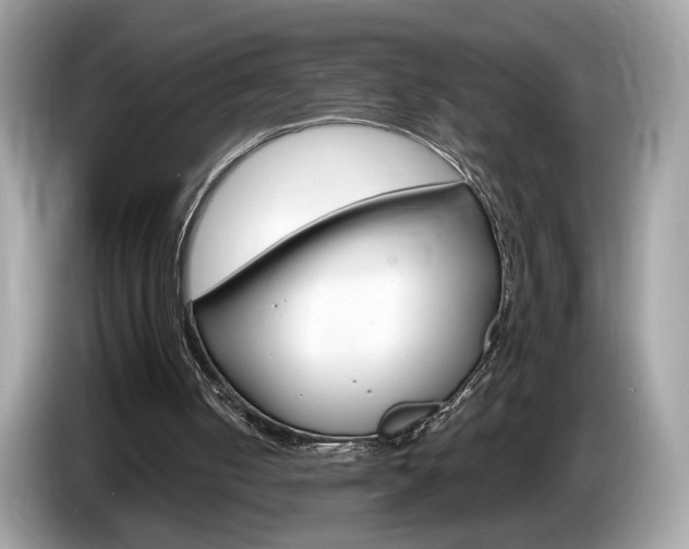 X0000086230050200703290952