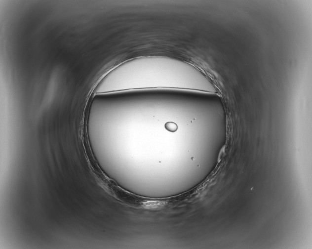 X0000086230051200703290952