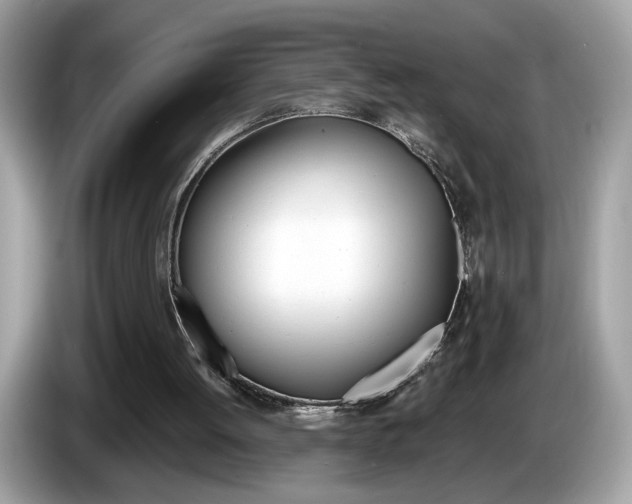 X0000086230052200703290952